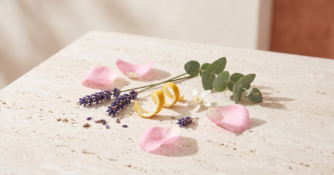 Rose petals, lavender sprigs, a curl of lemon peel, an orange blossom and a sprig of eucalyptus on a travertine slab in soft morning light.