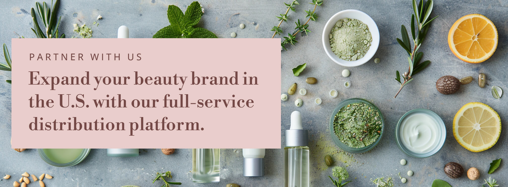 Flat lay of natural skincare ingredients — citrus slices, herbs, nuts, and glass jars — arranged on a cool gray surface beside a blush-pink overlay that reads “Partner With Us — Expand your beauty brand in the U.S. with our full-service distribution platform.” The image evokes Relterra’s refined, nature-meets-science aesthetic.