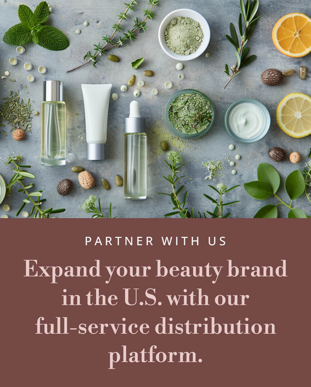 Flat lay of natural skincare ingredients — citrus slices, herbs, nuts, and glass jars — arranged on a cool gray surface beside a blush-pink overlay that reads “Partner With Us — Expand your beauty brand in the U.S. with our full-service distribution platform.” The image evokes Relterra’s refined, nature-meets-science aesthetic.
