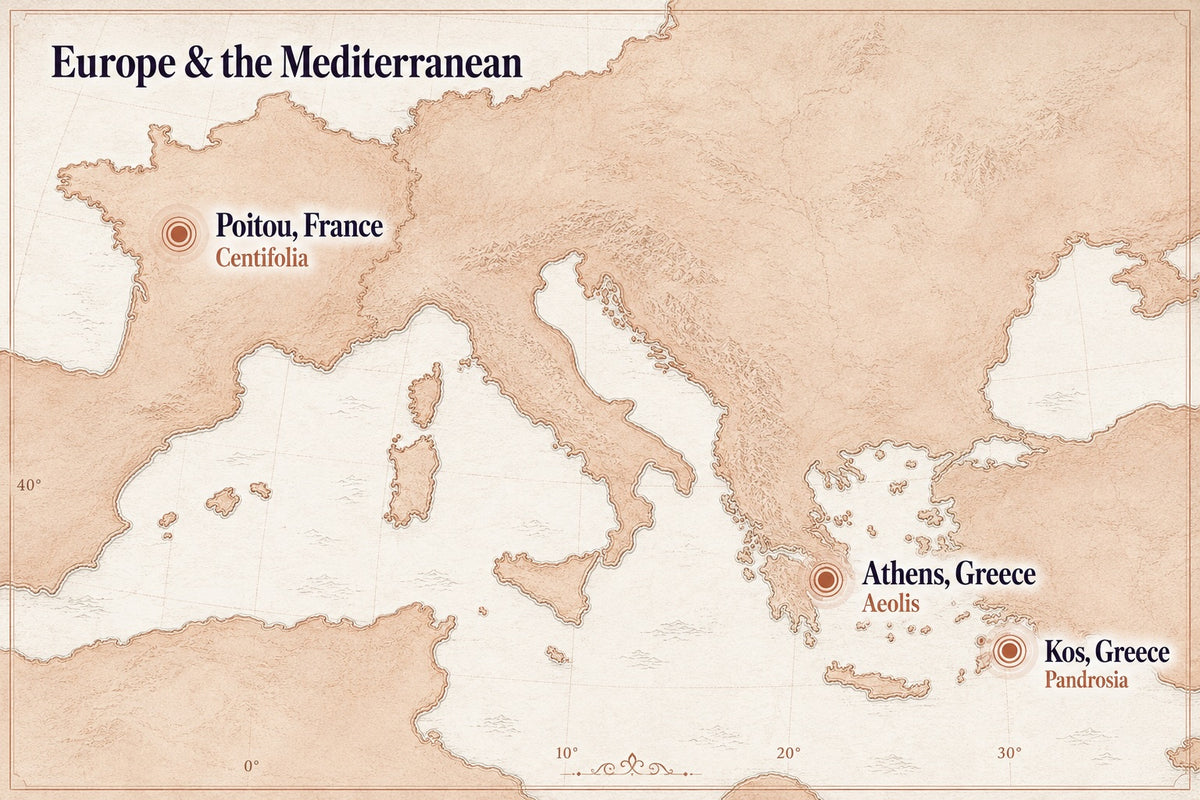 Map of Europe and the Mediterranean with labeled locations