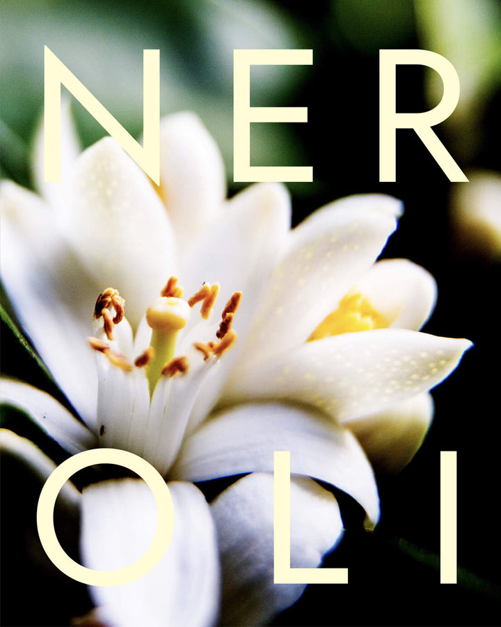 Close-up of a white flower with 'NEROLI' text overlay